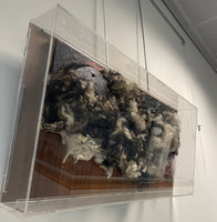 "Tar Feather Cotton and Egg" by Russell Murray