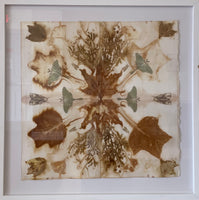 "Moth Mandala 1" by Yvette Lucas