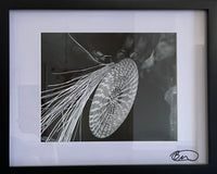 "Sweetgrass Hand" by Brittany Alston